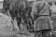 IMGP1970-Redigera