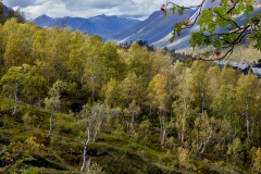 Innerdalen, Norge