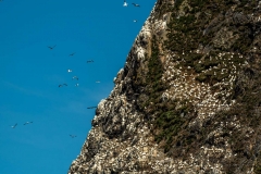 IMG7851